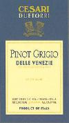 Due Torri - Pinot Grigio Friuli NV